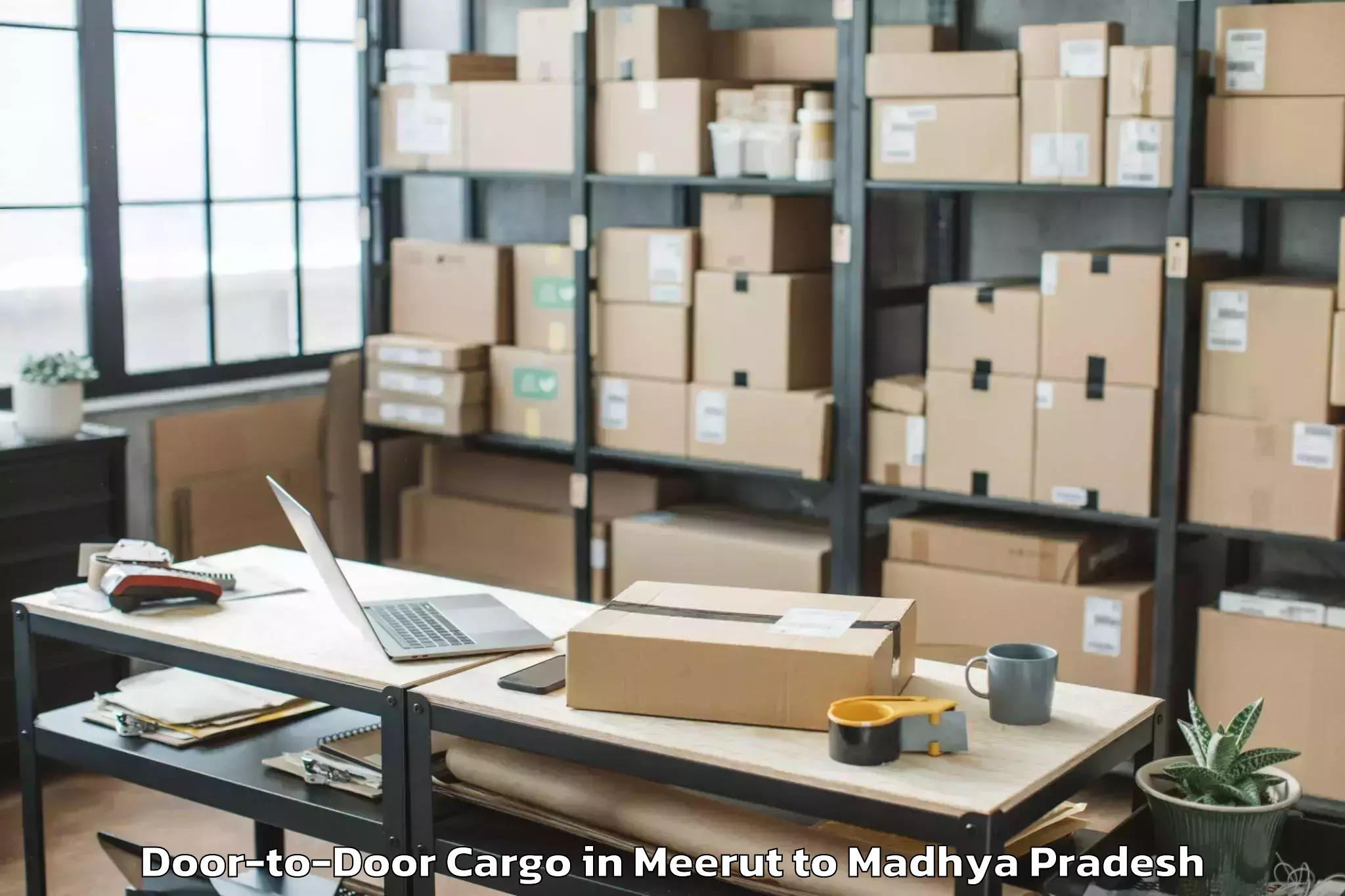 Book Your Meerut to Satna Airport Tni Door To Door Cargo Today